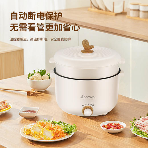 艾贝丽 | 2.5升电火锅（带蒸笼）ABL-HG25 商品图8