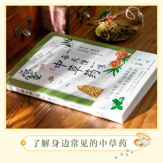 《每天懂一味中草Yao》了解中草Yao知识，发扬中医药文化 商品图2