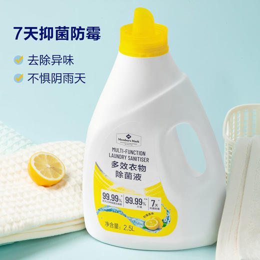 MM 山姆 Member's Mark 多效衣物除菌液 2.5L*2 商品图3