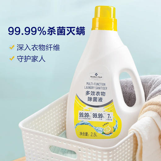 MM 山姆 Member's Mark 多效衣物除菌液 2.5L*2 商品图5