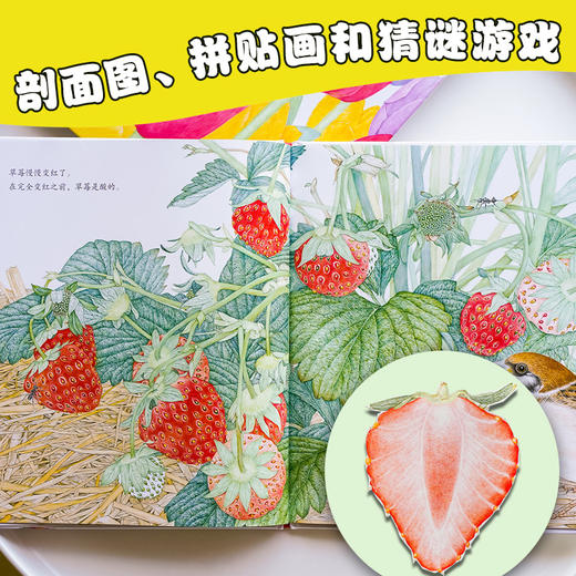 一年级自然观察课：全5册（适合一年级孩子的自然观察绘本） 商品图4