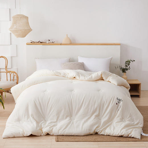 悦醒新品A类生机原棉大豆被 原生态不漂染大豆被子秋冬被芯 商品图0