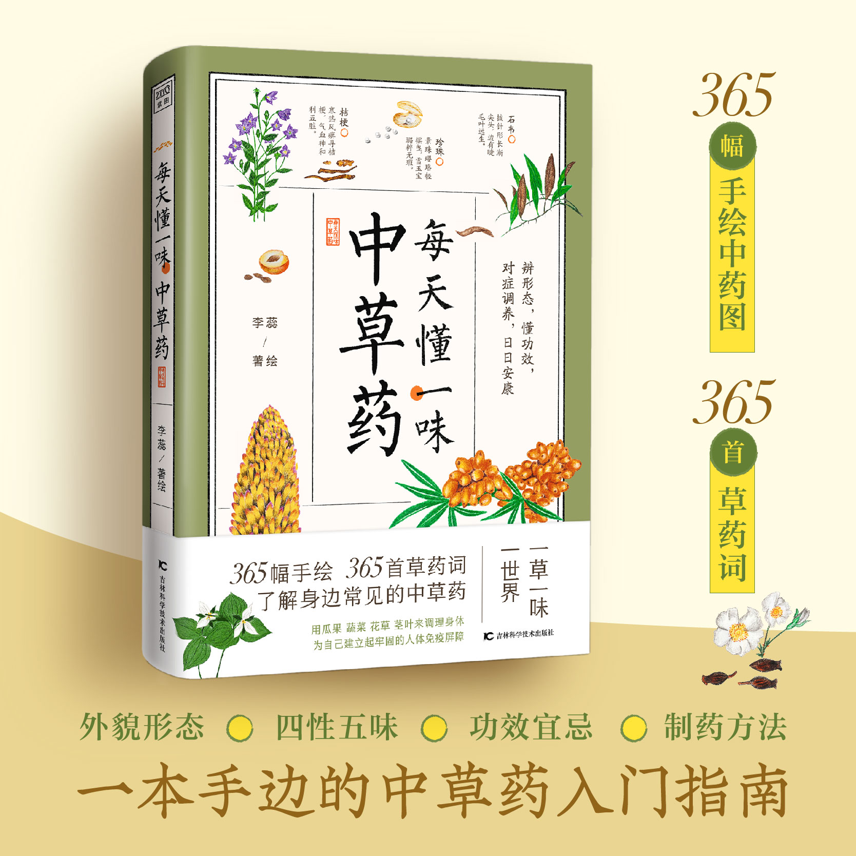 《每天懂一味中草Yao》了解中草Yao知识，发扬中医药文化