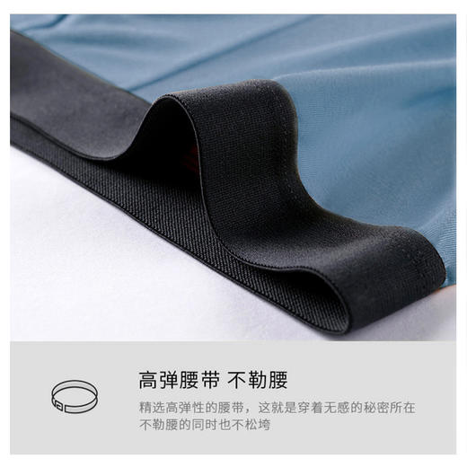 内野纯棉/莫代尔男士四角内裤精梳棉纯棉内裤 商品图2