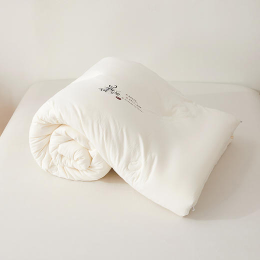 悦醒新品A类生机原棉大豆被 原生态不漂染大豆被子秋冬被芯 商品图3