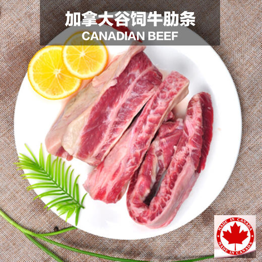 加拿大谷饲安格斯牛 牛肋条约2-2.4kg【1条/袋*2】约1-1.2kg/条（一般贸易） 商品图2