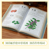 《每天懂一味中草Yao》了解中草Yao知识，发扬中医药文化 商品缩略图3