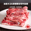 加拿大谷饲安格斯牛 牛肋条约2-2.4kg【1条/袋*2】约1-1.2kg/条（一般贸易） 商品缩略图0