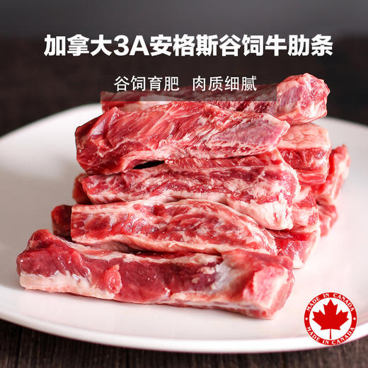 加拿大谷饲安格斯牛 牛肋条约2-2.4kg【1条/袋*2】约1-1.2kg/条（一般贸易） 商品图0