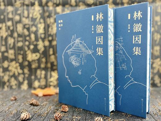 《林徽因集》（增订本，全4册）| 还原真实的一代才女~ 商品图6