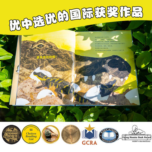 一年级自然观察课：全5册（适合一年级孩子的自然观察绘本） 商品图2