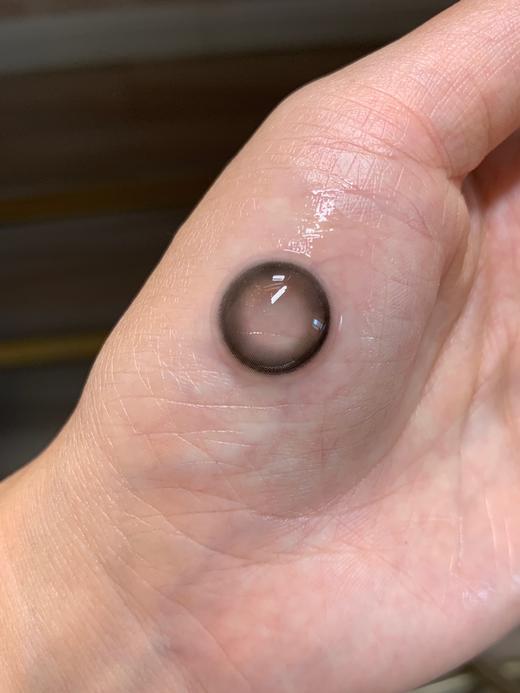 legalloli 年抛 无糖黑豆 直径14.2mm着色13.0mm 商品图5