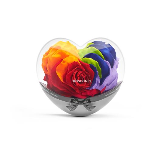 ROSEONLY 永生玫瑰-经典永续  心动心不倒翁礼盒 送女友礼物情人节礼品，情人节礼物 商品图1