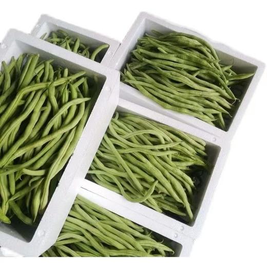 龙豆角480g-520g 商品图2