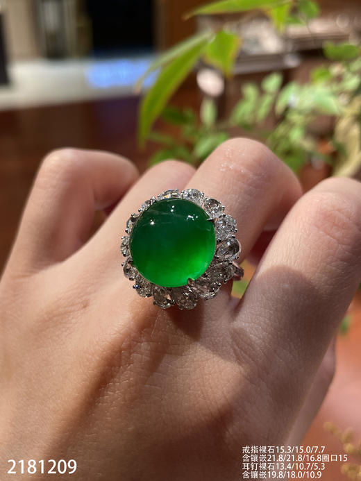 蛋面套装【2181209】具体价格微信咨询 商品图3