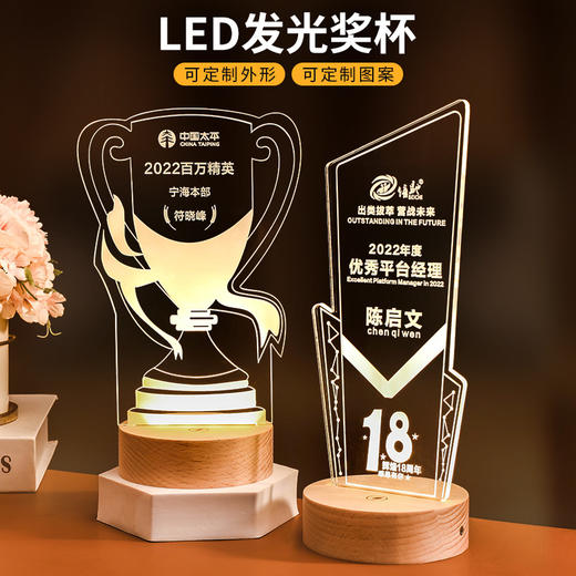 发光实木底座水晶奖杯定制定做奖牌亚克力LED员工纪念礼品小夜灯 商品图0
