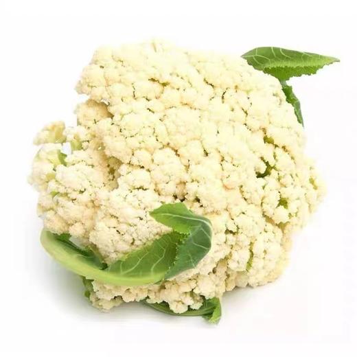 青梗花菜 480g-520g 商品图0