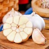 大蒜 480g-520g 商品缩略图2