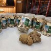 虎奶菌（送海底椰） 商品缩略图3