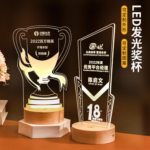 发光实木底座水晶奖杯定制定做奖牌亚克力LED员工纪念礼品小夜灯 商品图1