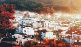 【画卷般秋色】宏村建筑+婺源秋色+篁岭晒秋+宁国水上红杉林7日行摄