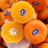 2PH澳洲甜柑| 水果 商品缩略图0