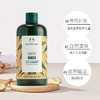 【身体护肤专场】The body shop新款生姜洗发水400ml 商品缩略图2