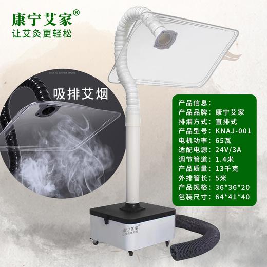康宁艾家丨【直排式】艾灸烟雾净化器 商品图0
