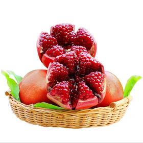四川会理 突尼斯软籽石榴 （单果400g）| 水果