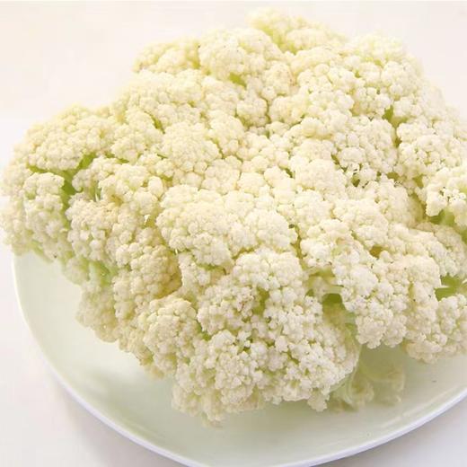 青梗花菜 480g-520g 商品图3