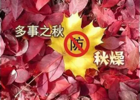  仲秋润燥，肺气不够，阿胶来凑！ 