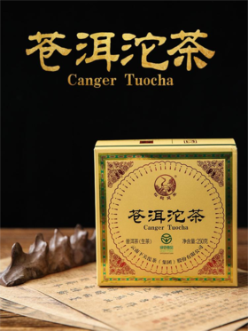 【中华老字号大理特产】下关 2021年 苍洱沱茶 普洱生茶 250g/沱 礼盒装（京东同款）