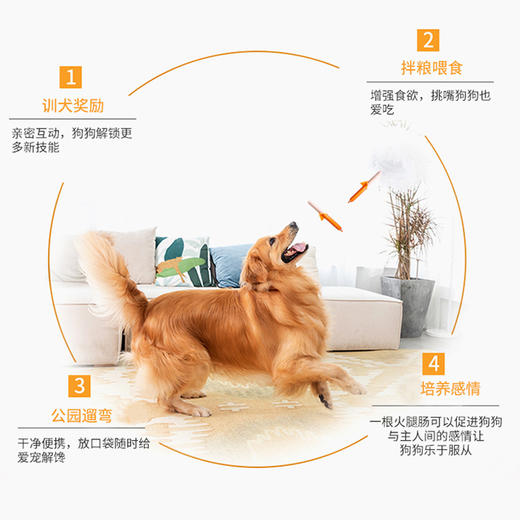 【新人专享】麦富迪狗零食火腿肠 商品图2