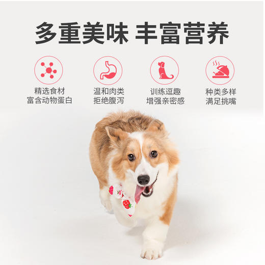 麦富迪狗狗零食大礼包整箱鸡肉*胸肉泰迪金毛磨牙通用宠物零食 商品图3