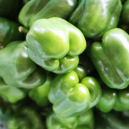 菜椒480g-520g 商品图1