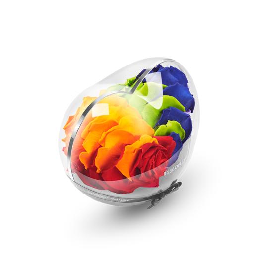 ROSEONLY 永生玫瑰-经典永续  心动心不倒翁礼盒 送女友礼物情人节礼品，情人节礼物 商品图4