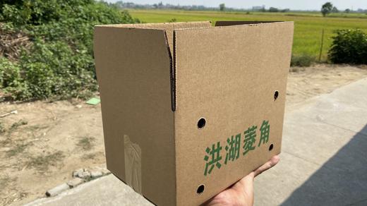 现摘洪湖新鲜菱角 老菱角 青菱角米  洪湖老菱角3斤和5斤全国包邮 商品图4