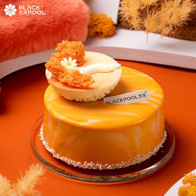 【风之岛】香草杏桃莓果慕斯