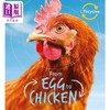 【中商原版】Lifecycles Egg to Chicken 生命周期：从蛋到鸡 英文原版 儿童绘本 自然科普 Camilla de la Bedoyere 7-12岁 商品缩略图0