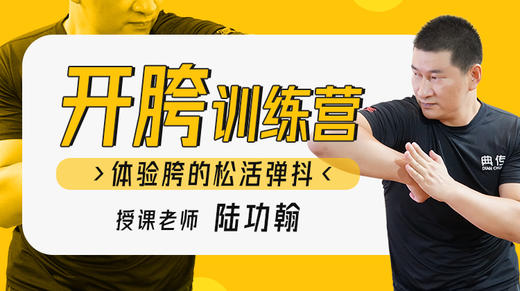 【训练营教程】开胯训练 商品图0