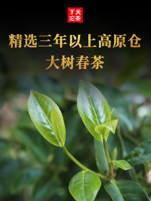 【层次丰富 回甘持久】下关 2021年 匠心沱茶 普洱生茶 300g/沱（京东同款） 商品图4