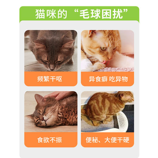 道力其猫咪专用益生菌化毛膏120g 排毛球 护肠胃 高性价比 商品图5