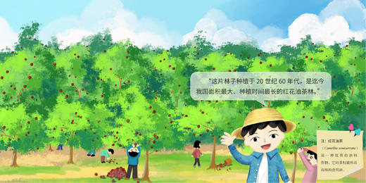 森林中的“吸血鬼”广寄生 商品图1