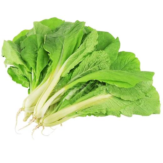 小白菜480g-520g 商品图2
