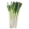 大葱480g-520g 商品缩略图1