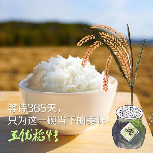 中粮初萃 五优稻4号 五常生态稻花香大米5kg 商品图4