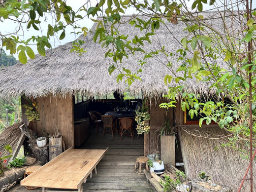 2022【广别妖茶】以“妖”闻名的古树茶，甜柔之下，霸道内劲 商品图3