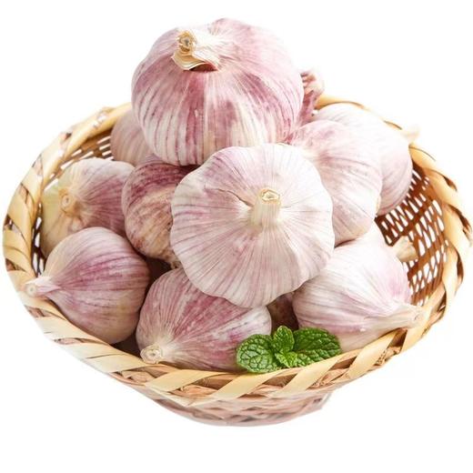 大蒜 480g-520g 商品图3