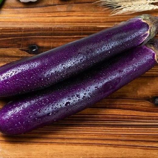 紫长茄480g-520g 商品图3