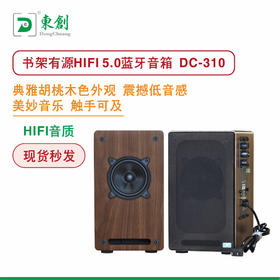 HIFI书架有源音箱DC-310